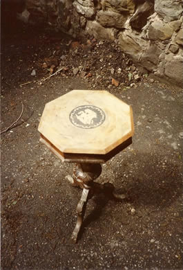 restorationbefore9 Neil Collumbell, French Polisher